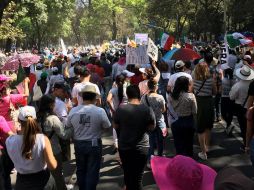 Chumel Torres subió varias imágenes de la marcha a sus redes sociales. TWITTER / @ChumelTorres