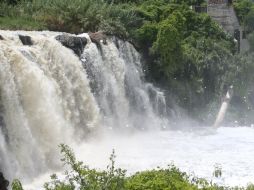 Habitantes de El Salto invitan a Aristóteles para que acuda a inspeccionar las condiciones en las que viven. EL INFORMADOR / ARCHIVO