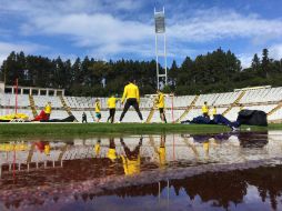 El equipo había plantado árboles entre la colina y el terreno de juego para disminuir la visibilidad de ''informadores''. TWITTER / @BVB