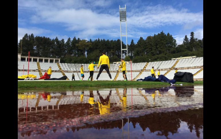 El equipo había plantado árboles entre la colina y el terreno de juego para disminuir la visibilidad de ''informadores''. TWITTER / @BVB