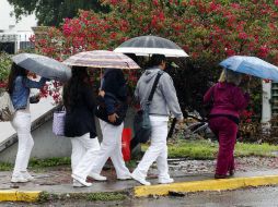 Recomiendan a la población extremar precauciones ante la llegada de fuertes lluvias. EL INFORMADOR / ARCHIVO