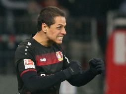 Frente a los Colchoneros, Javier Hernández será el mejor arma del Bayer Leverkusen. MEXSPORT / ARCHIVO