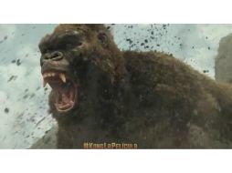 'Kong: Isla Calavera' abrirá el camino rumbo a una nueva versión de la película 'Godzilla vs King Kong'. YOUTUBE / Warner Bros. Pictures Latinoamérica