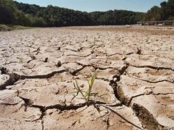 Advierten que el cambio climático causará una migración humana masiva. AP / ARCHIVO