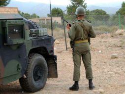 La zona de Kasserine y el monte Chambi son escenario desde 2011 de combates entre el Ejército tunecino y grupos radicales. AFP / ARCHIVO