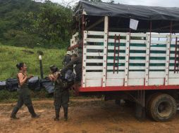 Aunque no hay una cifra consolidada de niños en las FARC, el gobierno cree que son 170. NTX / ARCHIVO