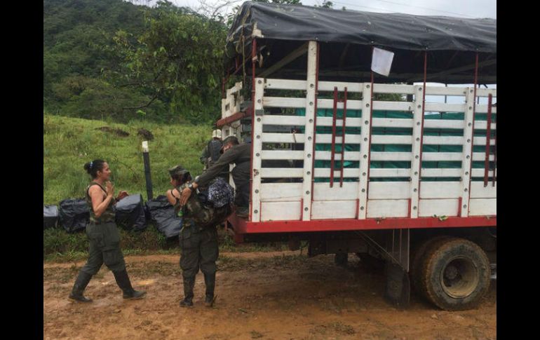 Aunque no hay una cifra consolidada de niños en las FARC, el gobierno cree que son 170. NTX / ARCHIVO