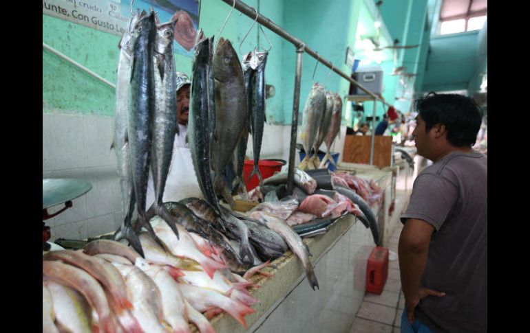 Los filetes de pescado, no deben presentar decoloración, ni menos oscurecimiento ni resecamiento en los bordes. NTX / ARCHIVO