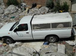 Poco después de las 14:30 horas el animal finalmente cedió y pudieron asegurarlo para trasladarlo a un sitio seguro. TWITTER / @UMPCyBZ