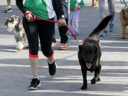 Exhortan realizar ejercicio de manera constante al menos 30 minutos al día, además de cuidar una mascota. EL INFORMADOR / ARCHIVO