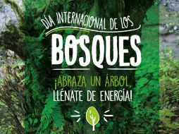 La ONU destacó que los bosques son fuente de energía y en una futura economía verde mundial. TWITTER / @SEMARNAT_mx