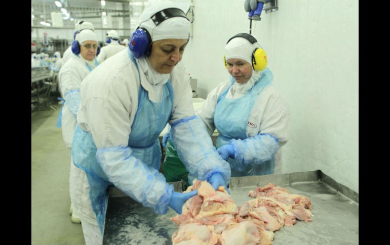 Hay 21 frigoríficos citados en la investigación  por sospechas de que incurrieron en conductas irregulares. EFE / J. Alves