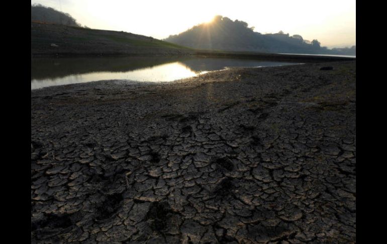 Globalmente, las mujeres y las niñas pasan 200 millones de horas recolectando agua todos los días. AFP /