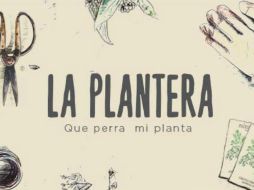 El evento es apto para toda la familia y la entrada será gratuita. FACEBOOK / La Plantera