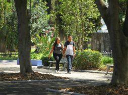 Elegir parques para caminar mientras se conversa con amigos o colegas te ayudará a activarte. EL INFORMADOR / ARCHIVO