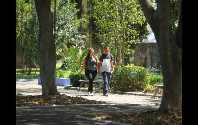 Elegir parques para caminar mientras se conversa con amigos o colegas te ayudará a activarte. EL INFORMADOR / ARCHIVO