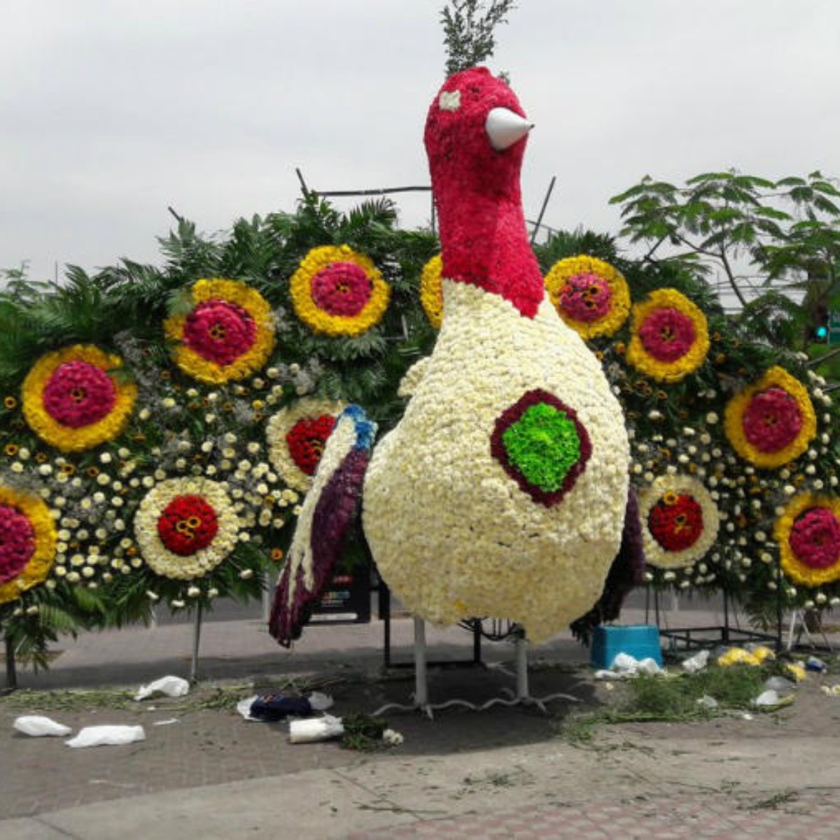 Esculturas de Flores, Florería en Guadalajara