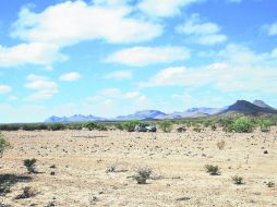 Grandes extensiones de arenisca y piedras extrañas crean el ensordecedor paisaje de la zona. EL INFORMADOR / P. Fernández