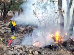 Bomberos municipales trabajaron en coordinación con brigadas de la Conafor y del Nixticuil. TWITTER / @UMPCyBZ