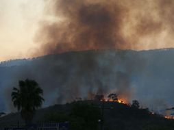 El incendio del domingo pasado ocurrió en uno de los predios propiedad del Ipejal. EL INFORMADOR / ARCHIVO