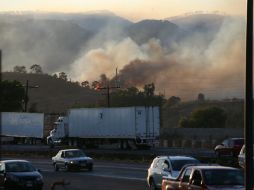 La denuncia fue presentada ante la Profepa por el incendio en el cerro del Tepopote. EL INFORMADOR / ARCHIVO