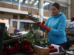 El punto fuerte de cualquier compañía es su personal. Empresa que no apuesta a sus trabajadores, apuesta en contra de sí misma. EL INFORMADOR / ARCHIVO