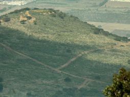 Cerro Viejo fue declarada Área Nacional Protegida en 2013; entra en tres de la cuatro áreas de biodiversidad de México. EL INFORMADOR / ARCHIVO