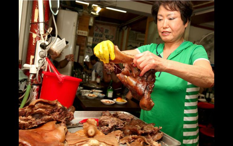 Personas que vendan o consuman carne de caninos o felinos podrán ser multados con hasta 250 dólares taiwaneses. EFE / ARCHIVO