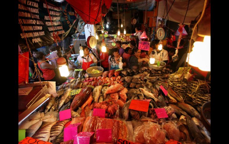 La Nueva Viga es la segunda central de abasto de pescado más grande del mundo, solo por detrás del mercado Tsukiji de Tokio. EFE / S. Gutiérrez