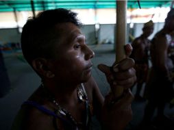 La sequía en Bolivia podría poner en riesgo a la selva tropical del Amazonas. AP / ARCHIVO