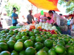 En las siguientes semanas los precios del limón y del aguacate rondarán los 10 y los 25 pesos, respectivamente. EL INFORMADOR / ARCHIVO