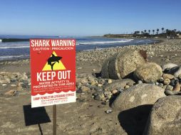 La mujer se encontraba nadando en el mar con sus amigos en una playa popular del sur de California. AP / L. Connelly