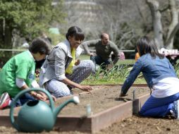 Especialistas recomiendan involucrar a los niños aconvivir con la naturaleza, entre otras actividades. EFE / ARCHIVO