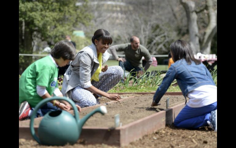 Especialistas recomiendan involucrar a los niños aconvivir con la naturaleza, entre otras actividades. EFE / ARCHIVO