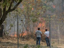 La Semadet decretó emergencia atmosférica por el incendio en el Bosque de La Primavera. EL INFORMADOR / ARCHIVO