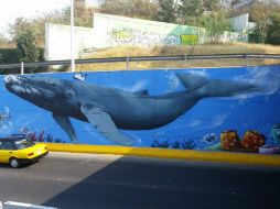 Un joven delante de una ballena bajo el mar, entre otros elementos, son los protagonistas del mural. TWITTER / @ZapopanGob