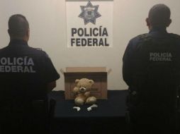 Activos adscritos al Aeropuerto encontraron la sustancia blanca que dio como positivo a clorhidrato de cocaína en el oso. ESPECIAL /