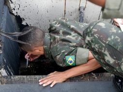 En al menos 115 municipios brasileños se detectaron casos de fiebre amarilla. AFP / ARCHIVO