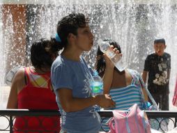 Tomar agua purificada es vital para no padecer deshidratación. EL INFORMADOR / ARCHIVO