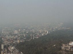 Coyoacán se ha mantenido como la demarcación más contaminada del Valle de México este martes. NTX / ARCHIVO