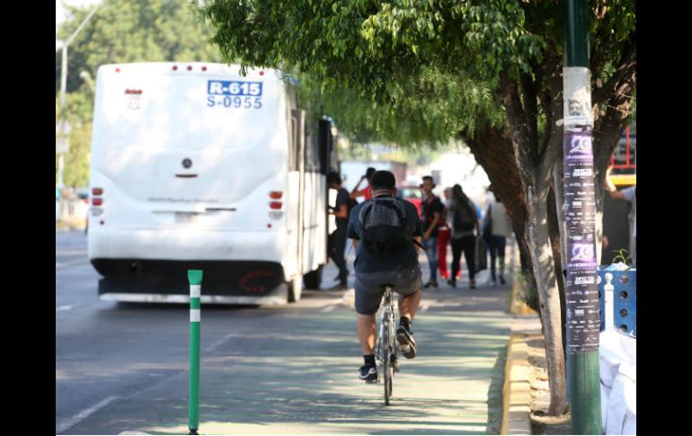 Un usuario sobre la ciclovía de Marcelino García Barragán. EL INFORMADOR / Archivo