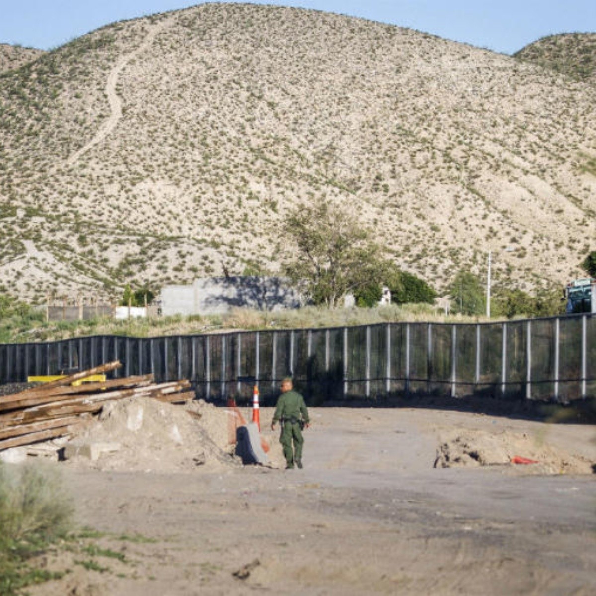 Muro fronterizo dañaría flora y fauna | El Informador