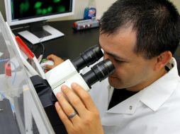 Durante el estudio, los investigadores han analizado muestras de orina de 30 pacientes. EFE / ARCHIVO