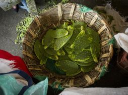 El consumo de fibra de nopal en polvo contribuye a regular la presión arterial. NTX / ARCHIVO