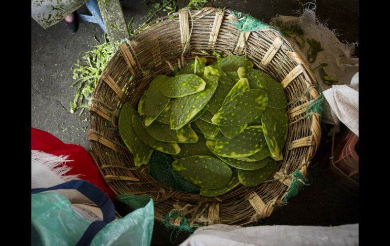 El consumo de fibra de nopal en polvo contribuye a regular la presión arterial. NTX / ARCHIVO