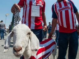 La capital de Jalisco vibra apoyando al Rebaño Sagrado. MEXSPORT / J. Martínez