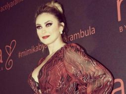 Aracely Arámbula dijo que no ha autorizado que su nombre salga en la serie de Netflix. INSTAGRAM / aracelyarambula