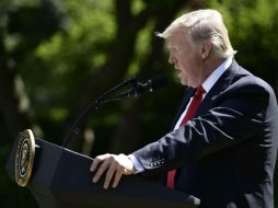 Trump anunció la salida de EU del Acuerdo de París, pero dijo estar abierto a negociar uno nuevo que beneficie los intereses del país. AFP / B. Smialowski