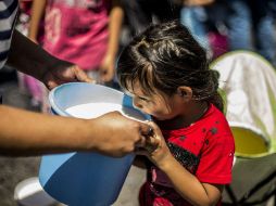 El primero de junio es el Día Internacional de la Leche. EL INFORMADOR / ARCHIVO