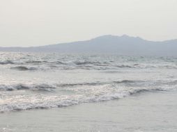 Las playas y dunas costeras de Yucatán, Quintana Roo y Veracruz. EL INFORMADOR / ARCHIVO